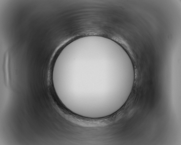 X0000088440012200705220924