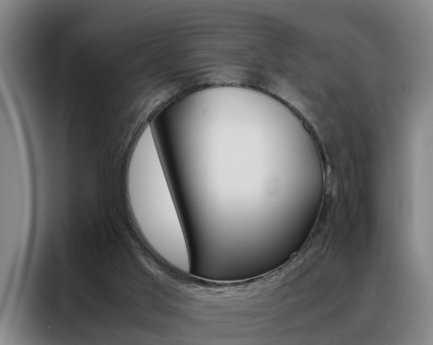 X0000088440013200705220924