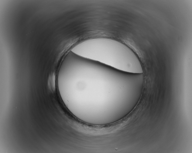 X0000088440014200705220924