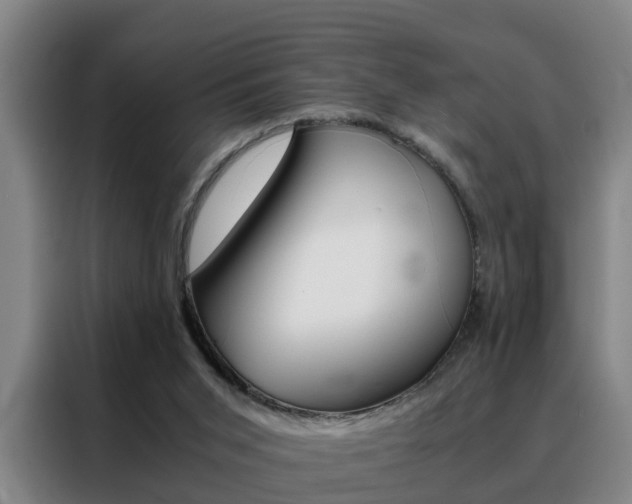 X0000088440015200705220924