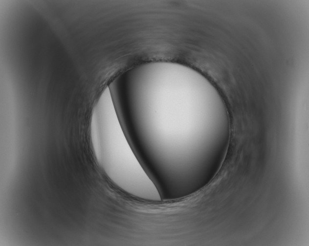 X0000088440017200705220924