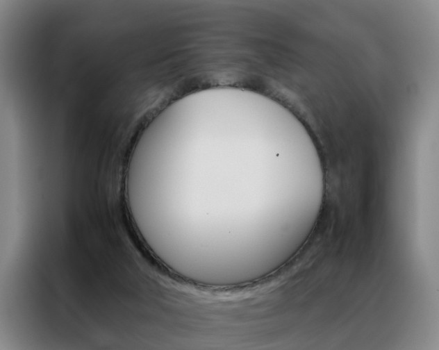 X0000088440018200705220924