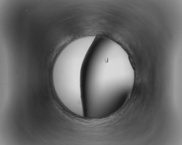 X0000088440019200705220924