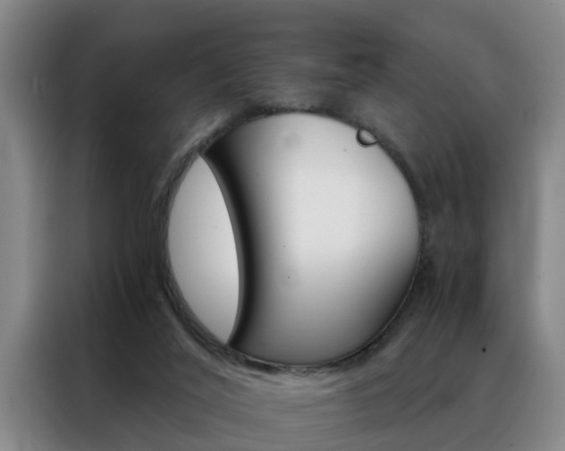 X0000088440020200705220924