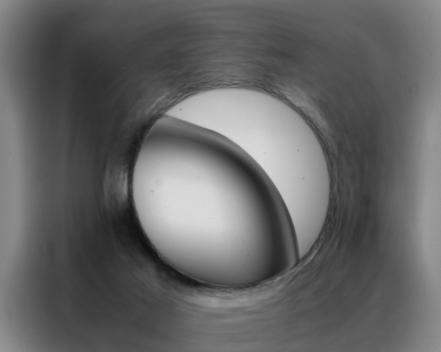 X0000088440021200705220924