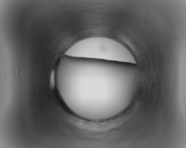 X0000088440022200705220924