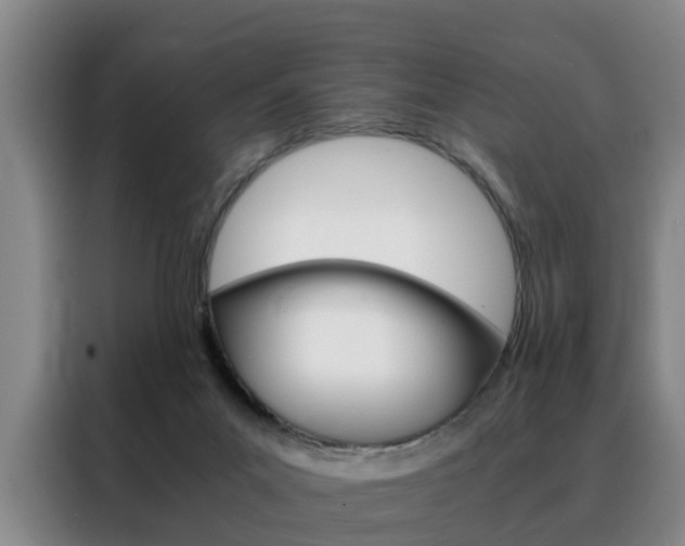 X0000088440023200705220924
