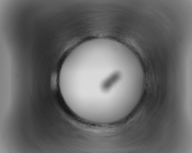 X0000088440024200705220924