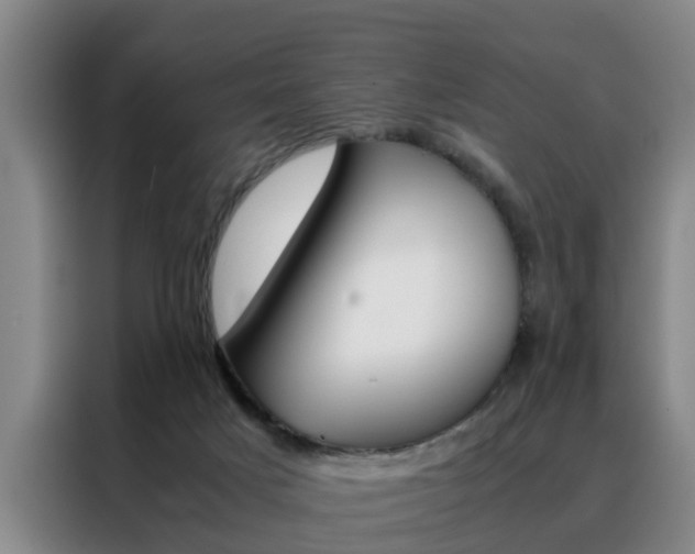 X0000088440025200705220924