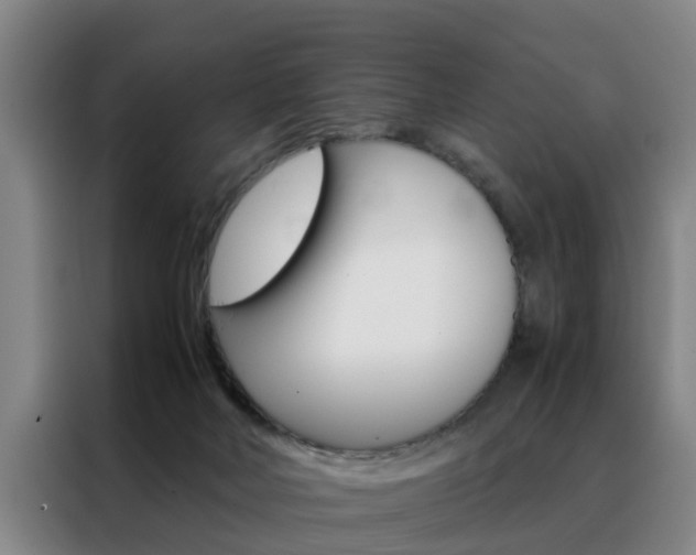 X0000088440026200705220924