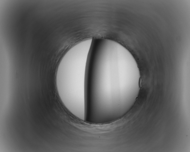 X0000088440027200705220924