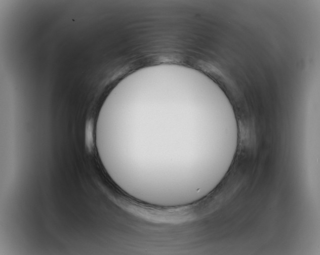 X0000088440028200705220924