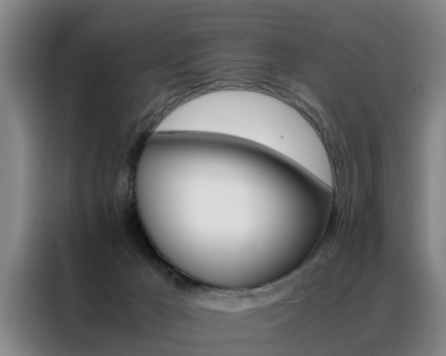 X0000088440029200705220924