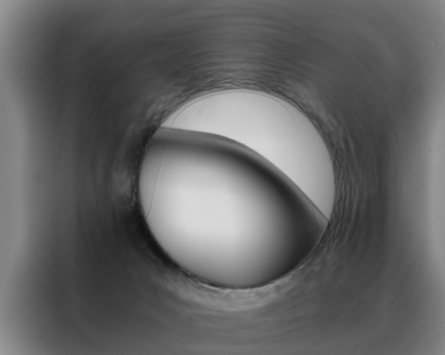 X0000088440031200705220924