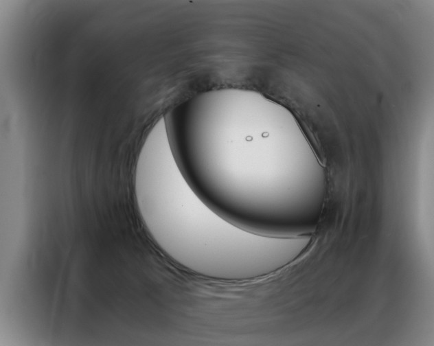 X0000088440033200705220924