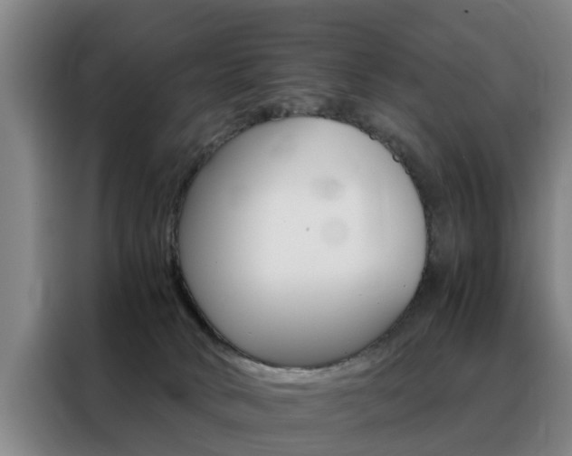 X0000088440034200705220924
