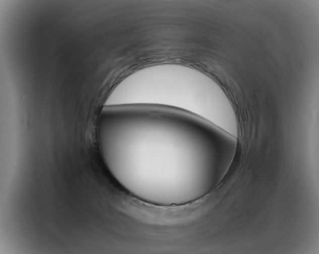 X0000088440035200705220924