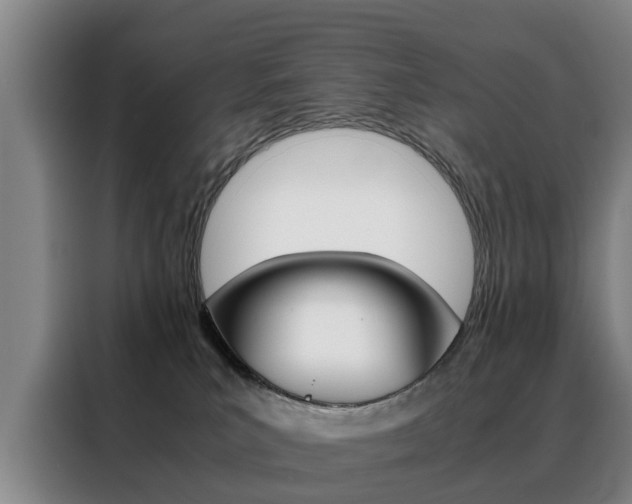 X0000088440039200705220924