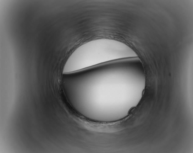 X0000088440040200705220924