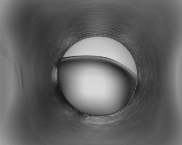 X0000088440041200705220924