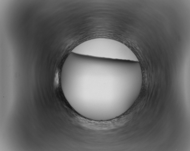 X0000088440042200705220924