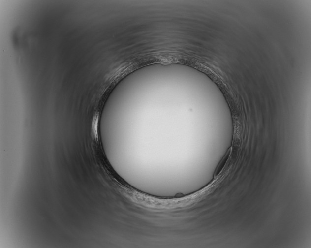 X0000088440047200705220924