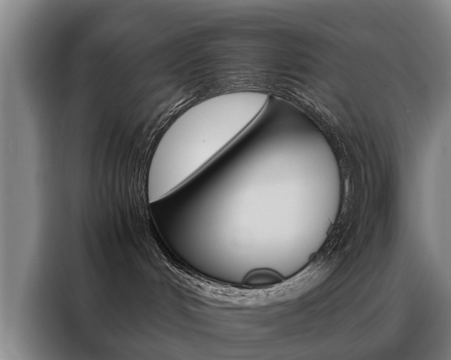 X0000088440048200705220924