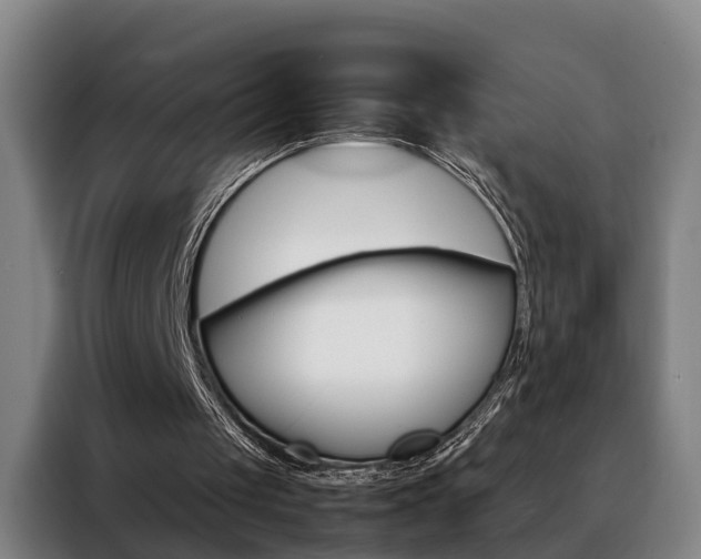 X0000088440049200705220923