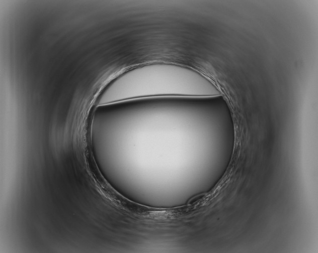X0000088440050200705220923