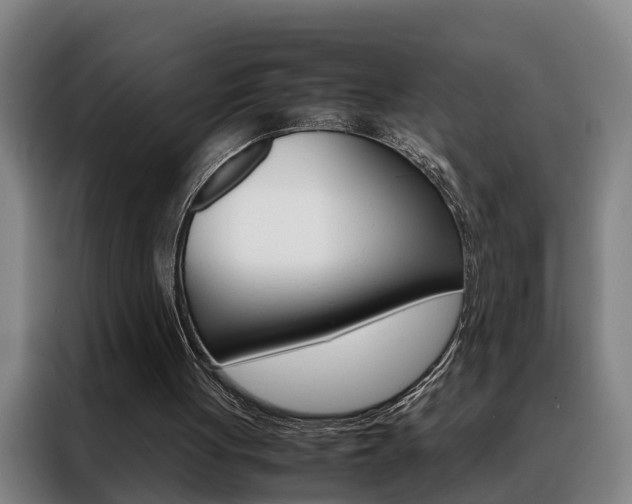 X0000088440051200705220923