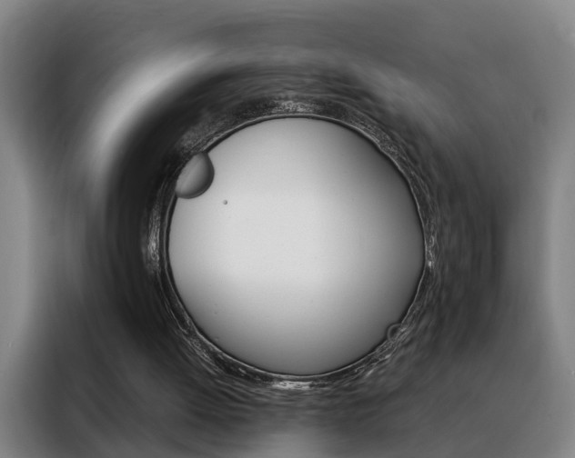 X0000088440052200705220923