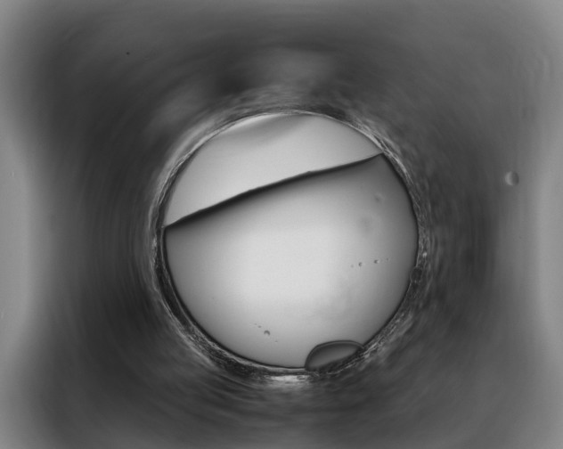 X0000088440053200705220923