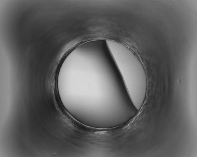X0000088440054200705220923