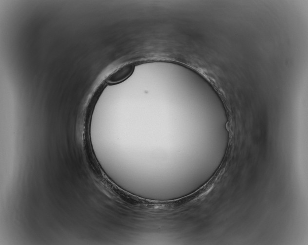 X0000088440056200705220923