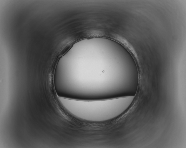 X0000088440057200705220923