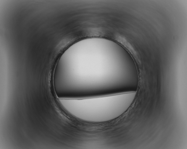 X0000088440058200705220923