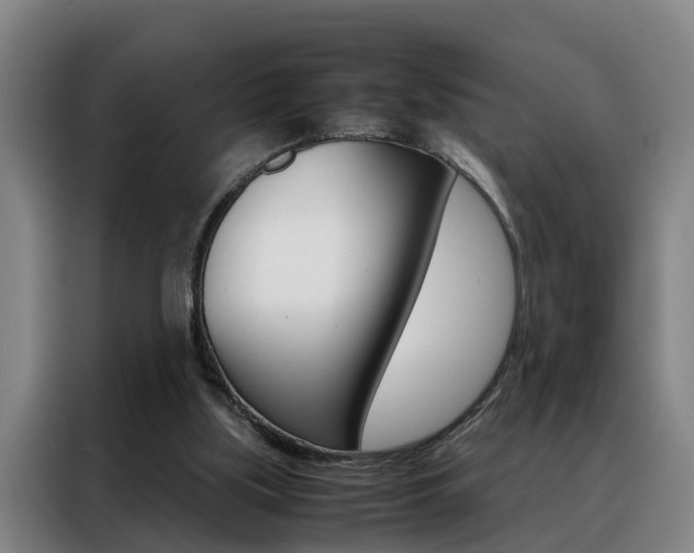 X0000088440059200705220923