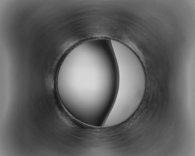 X0000088440060200705220923