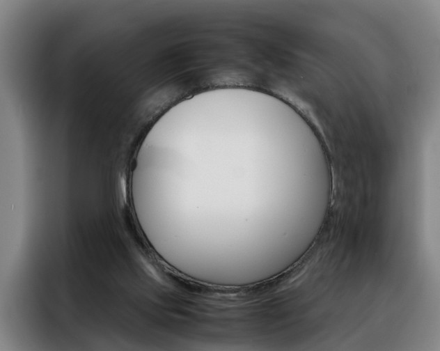X0000088440061200705220923