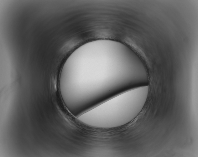 X0000088440062200705220923