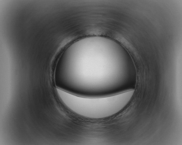 X0000088440064200705220923