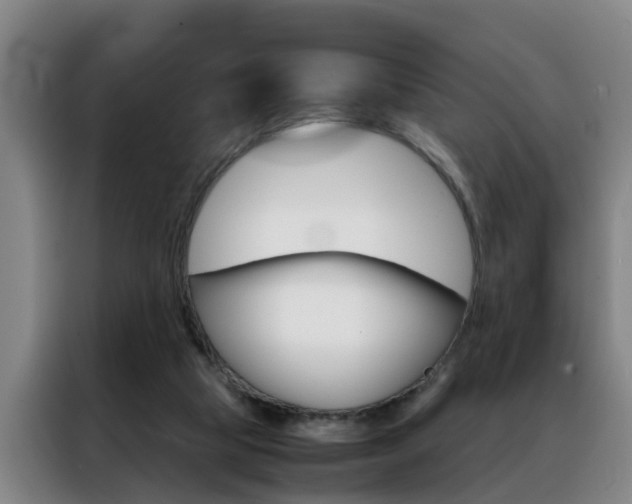 X0000088440065200705220923