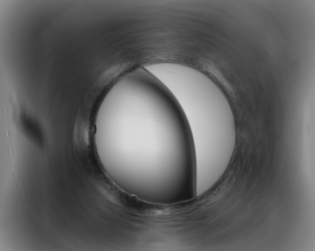 X0000088440068200705220923