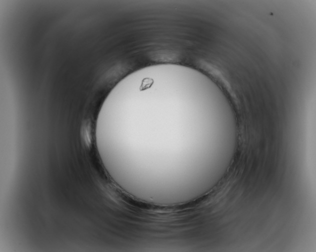 X0000088440069200705220923