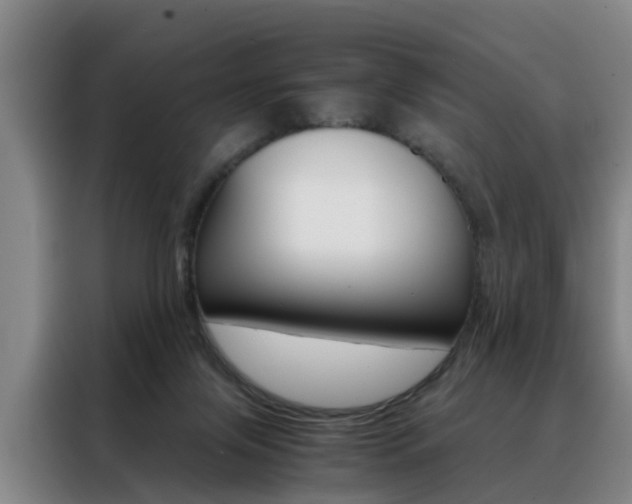 X0000088440071200705220923