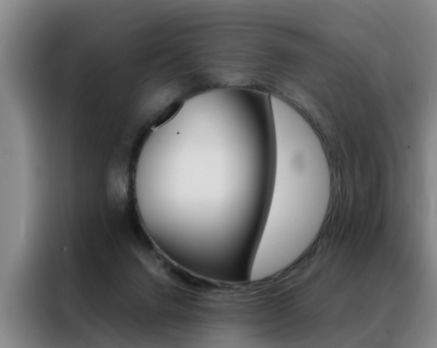 X0000088440072200705220923