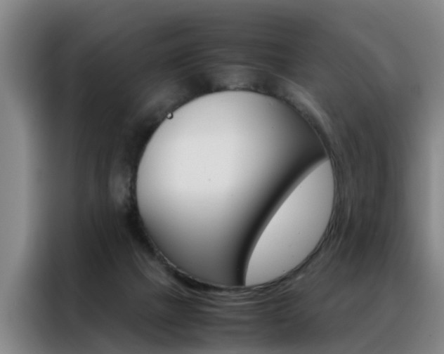 X0000088440073200705220923