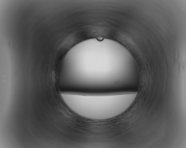 X0000088440077200705220923