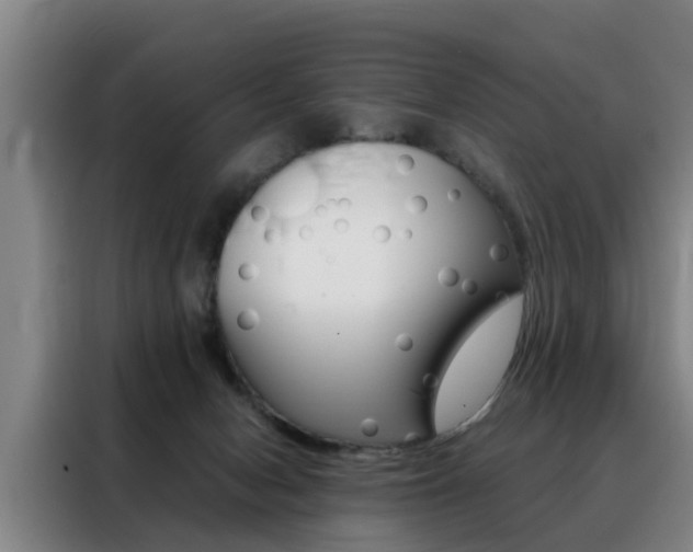 X0000088440078200705220923