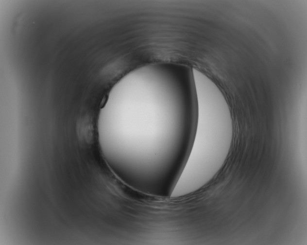 X0000088440080200705220923